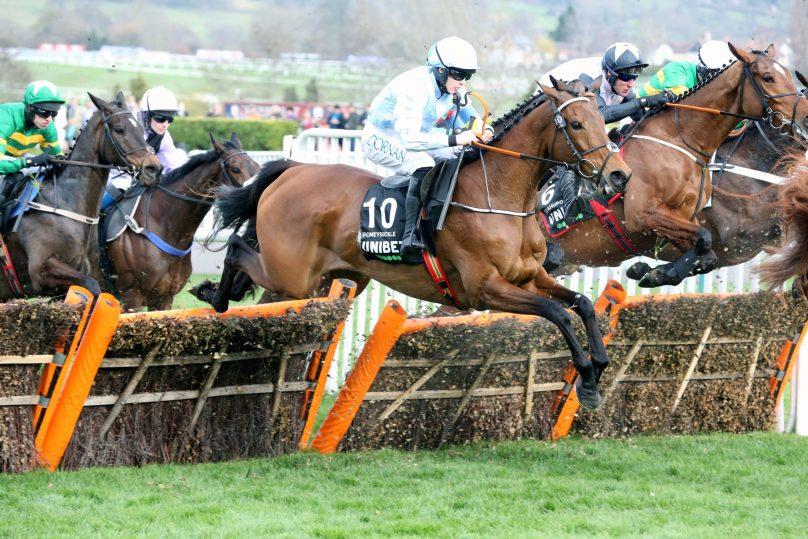Racehorses jumping a hurdle at Cheltenham Racecourse, a race meeting you can fly to by helicopter
